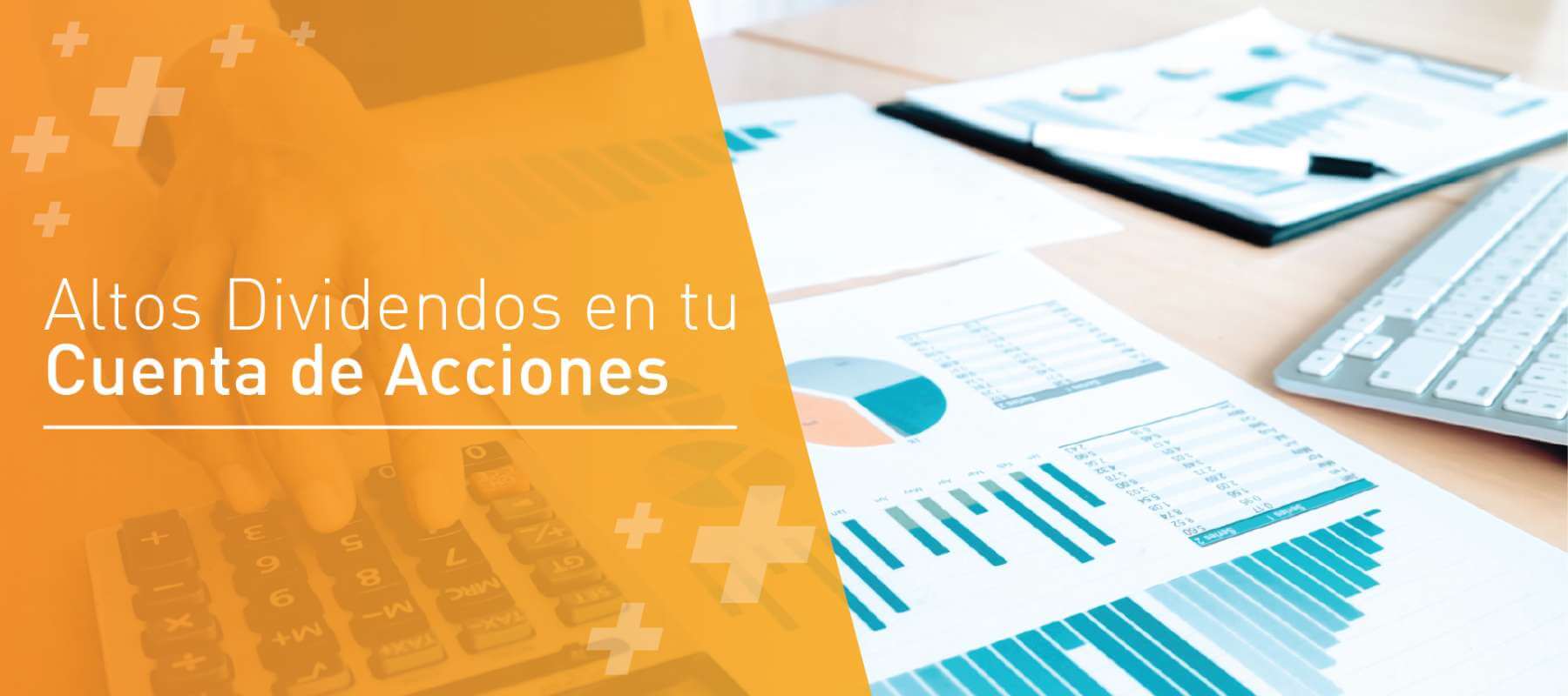 web banner2